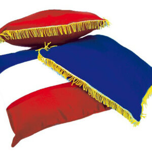 COUSSIN D'INAUGURATION