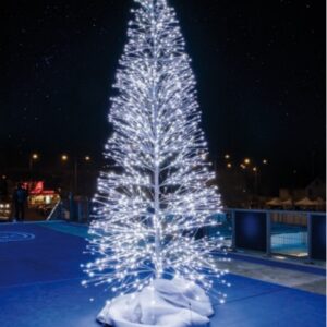 Sapin 1