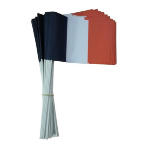 DRAPEAUX À MAIN FRANÇAIS