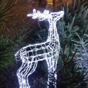 RENNE REINDEER